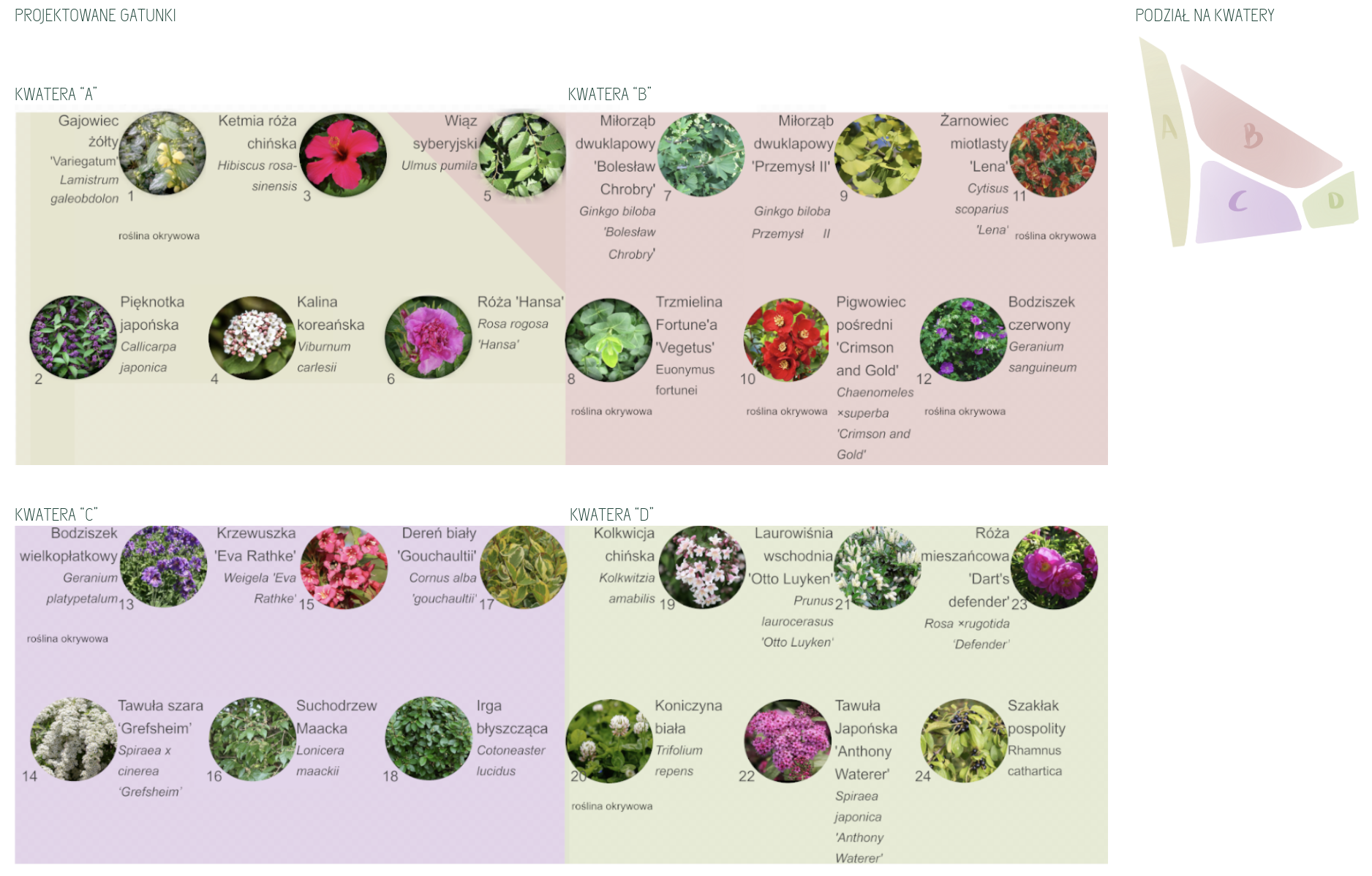 projektowane-gatunki